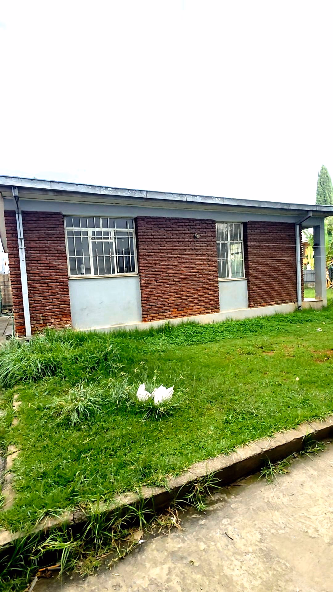 Villa House for Sale in Ayat Compound photo 4