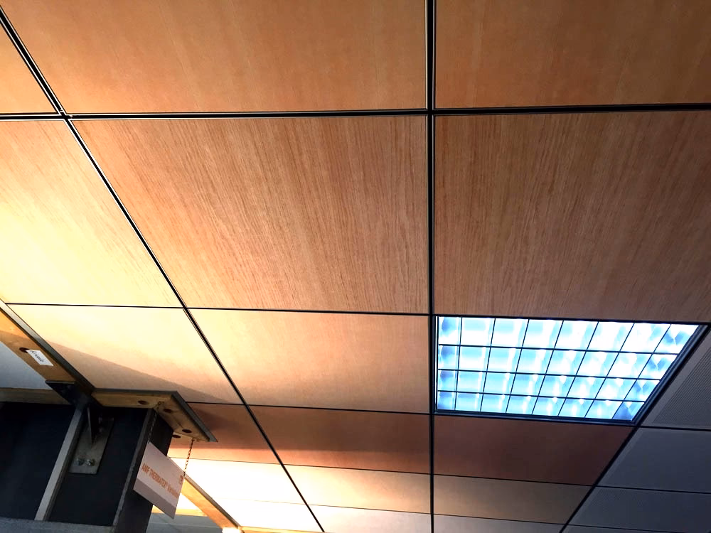 Acoustic Ceiling Tiles photo 4