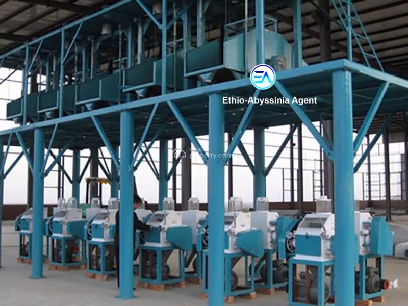 Flour Factory for sale- Gelan, Akaky Kaliti, Addis Ababa