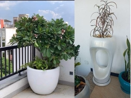 Fiber Glass Products
