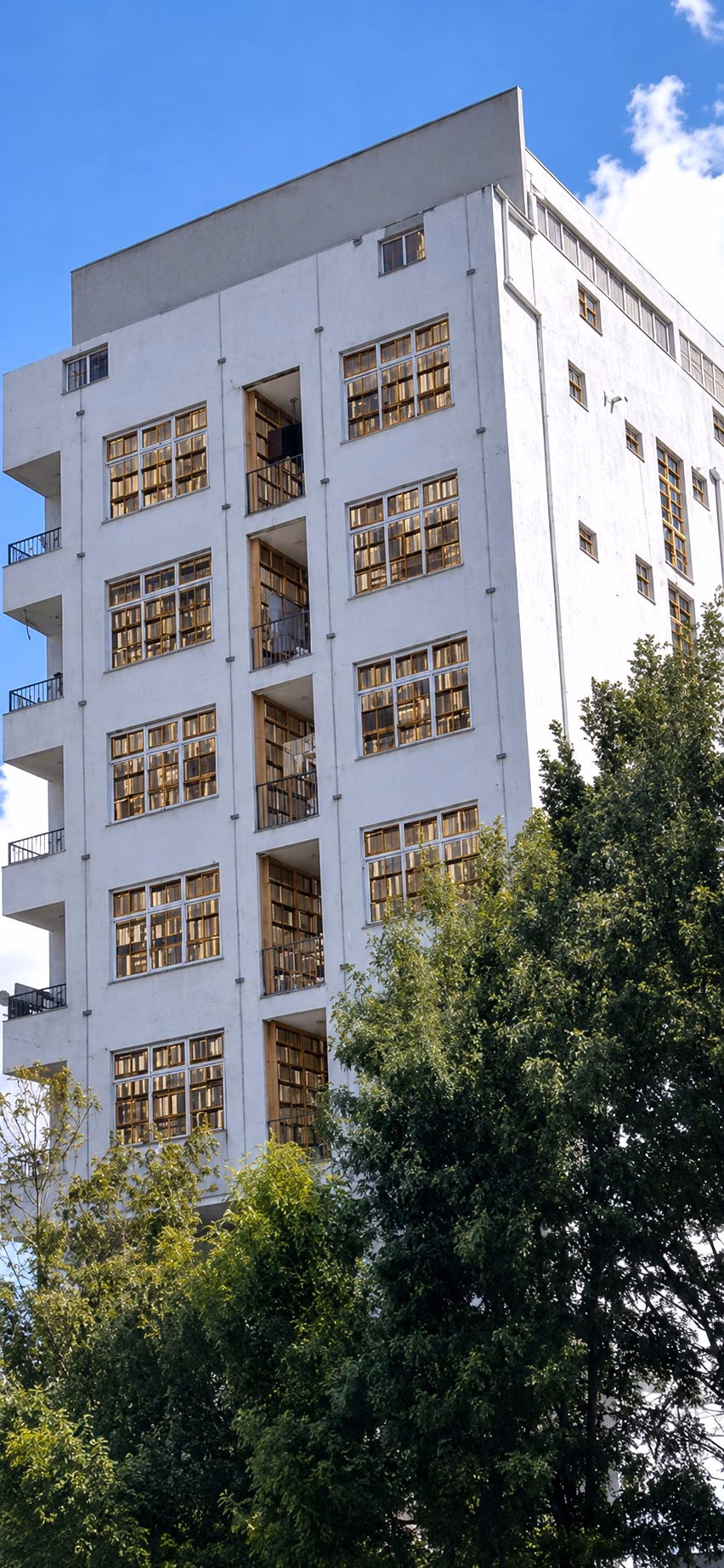 G+7 Commercial Building for Sale in Addis Ababa photo 1