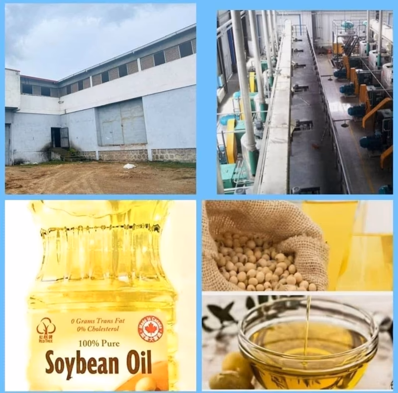 ለሽያጭ የወጣ የዘይት ፋብሪካ ደ/ብርሐን industry Area